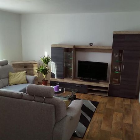 Apartman Pod Rickami Apartment Rokytnice v Orlickych Horach Luaran gambar