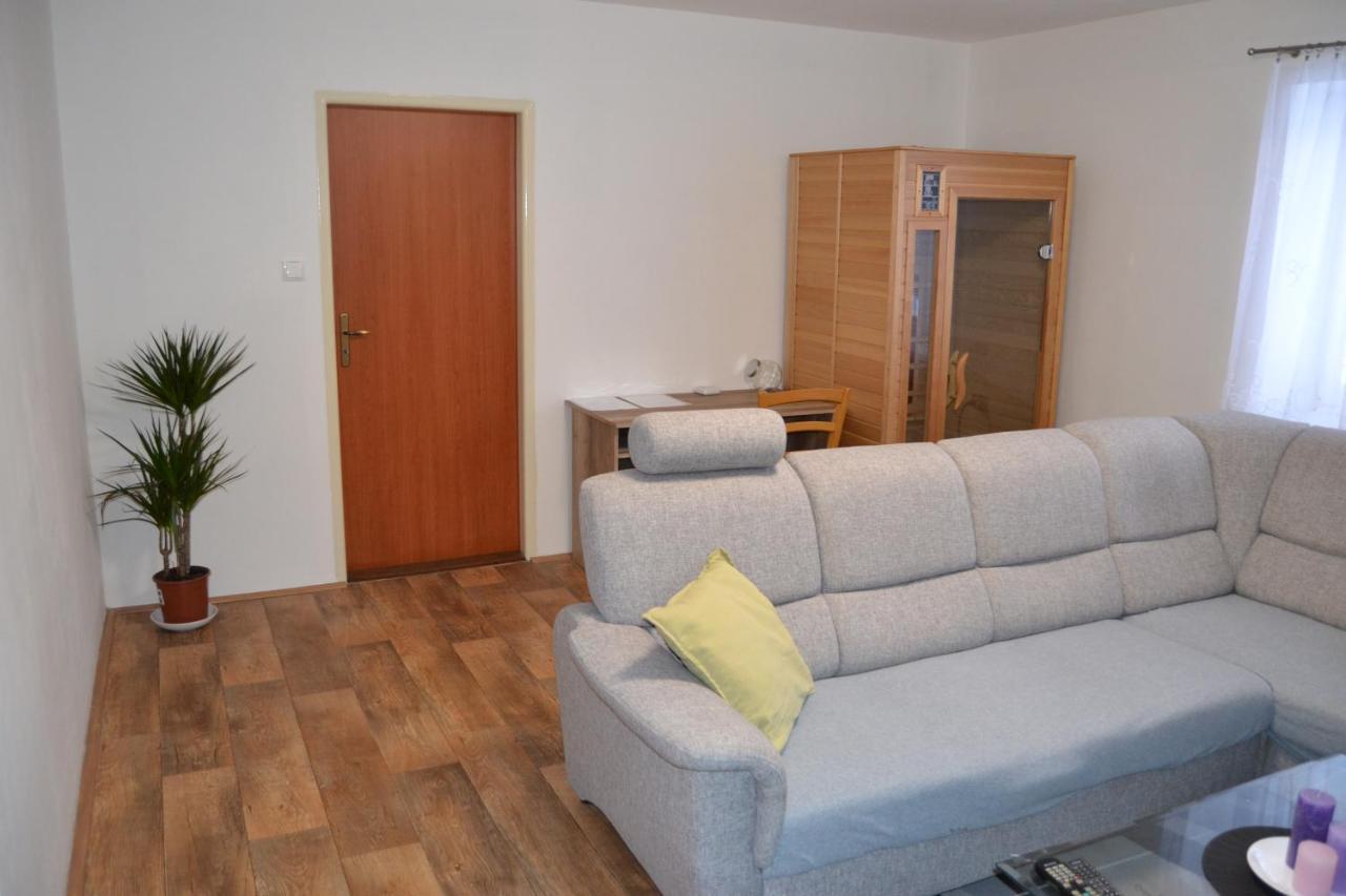 Apartman Pod Rickami Apartment Rokytnice v Orlickych Horach Luaran gambar
